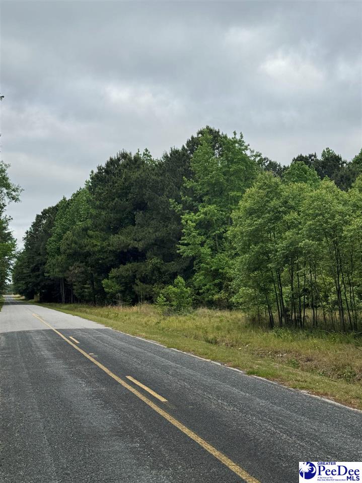 Daniel Chapel Rd