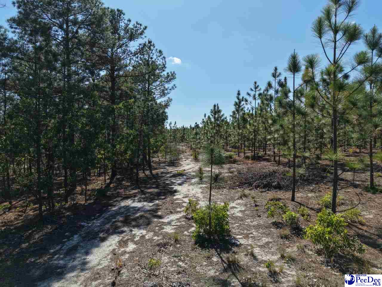 Mt. Olivet Church Rd
