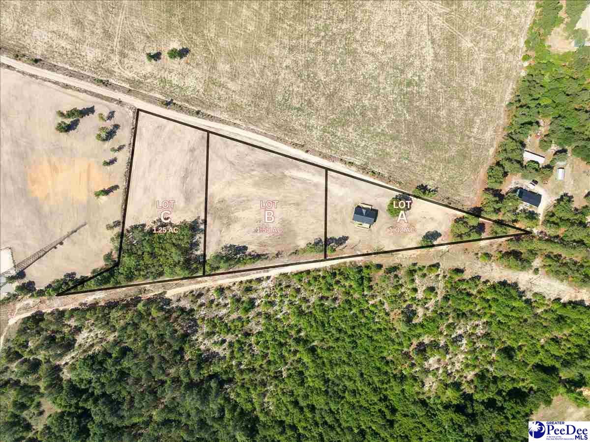 Lot C Bailey Sawmill