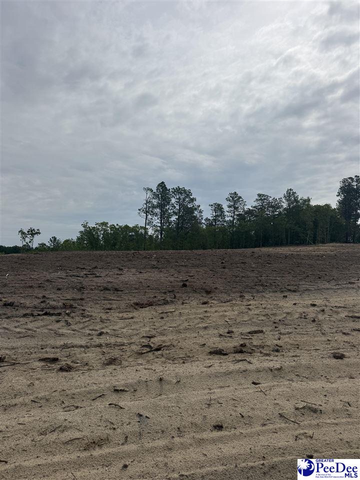Lot C Bailey Sawmill