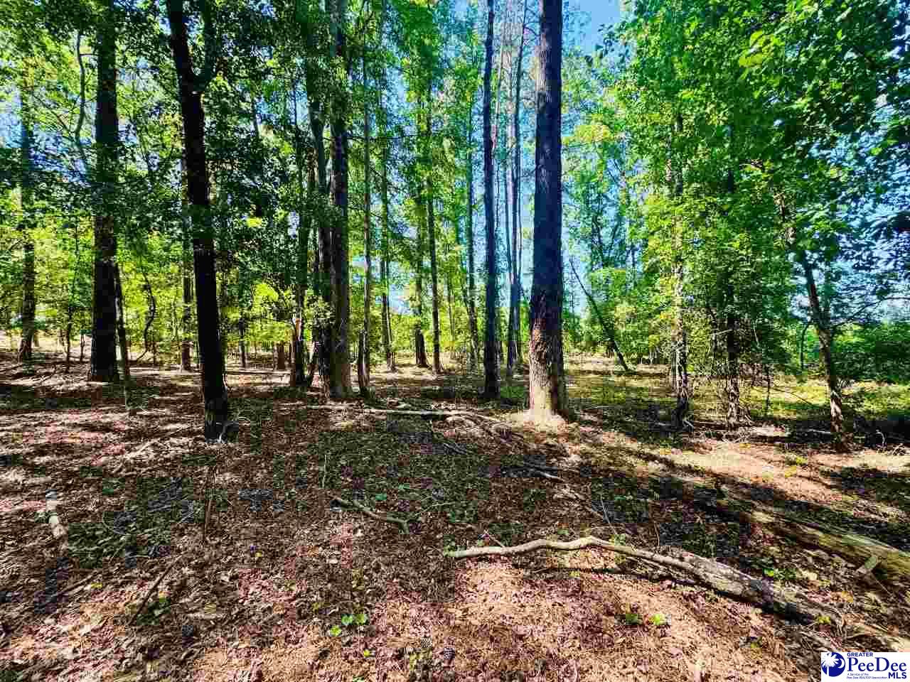 Grants Mill Rd West