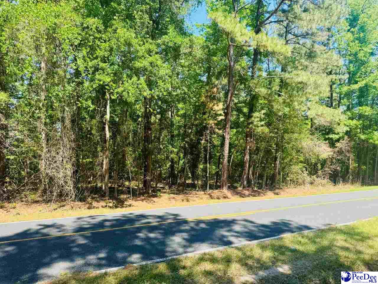Grants Mill Rd West