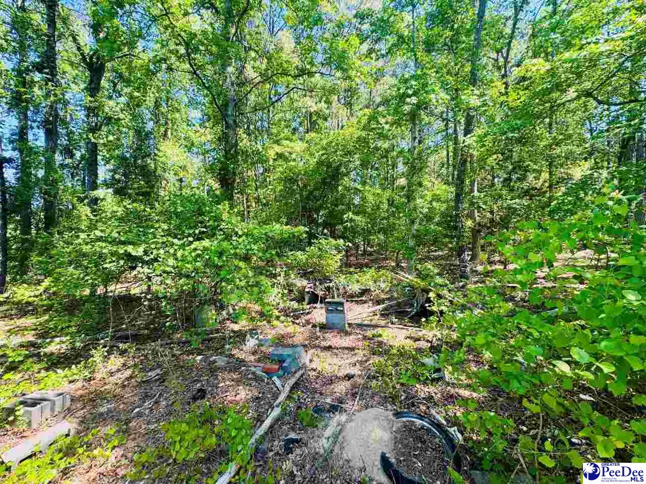 Grants Mill Rd West