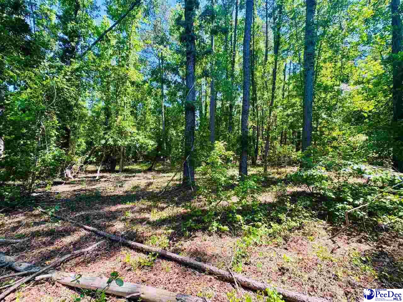 Grants Mill Rd West