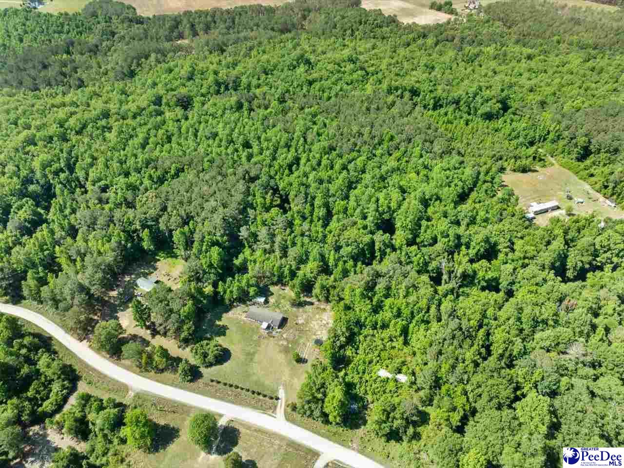 292 Longhorn Lane