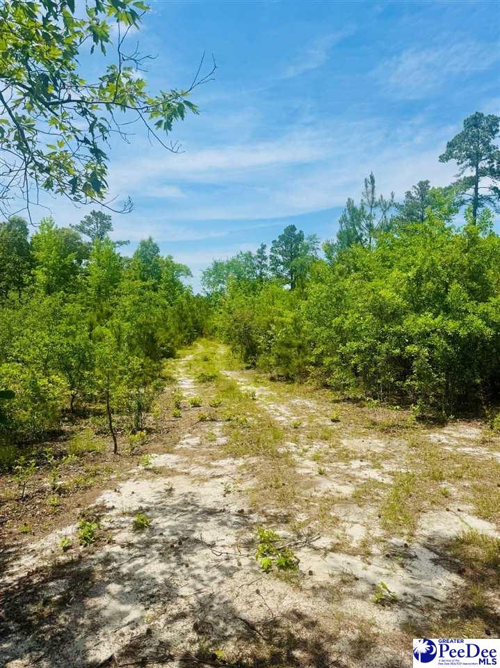 Crowley Rd
