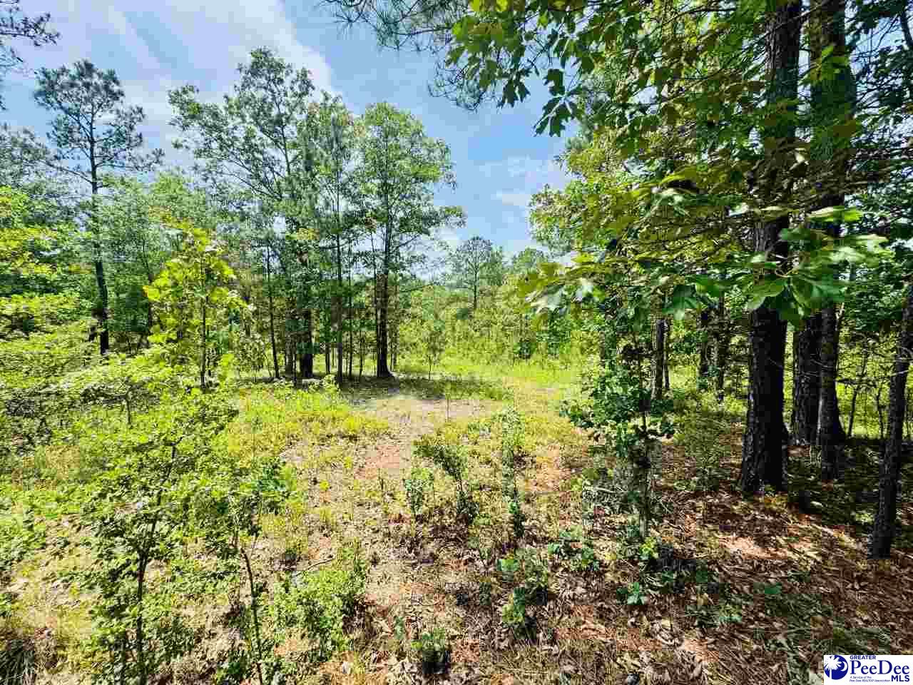 Crowley Rd