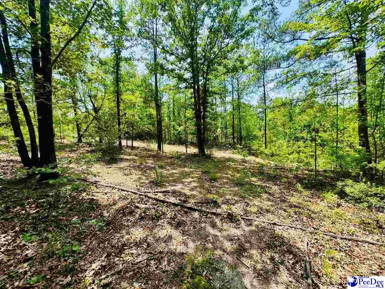 Crowley Rd