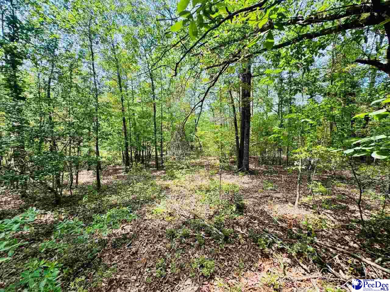 Crowley Rd