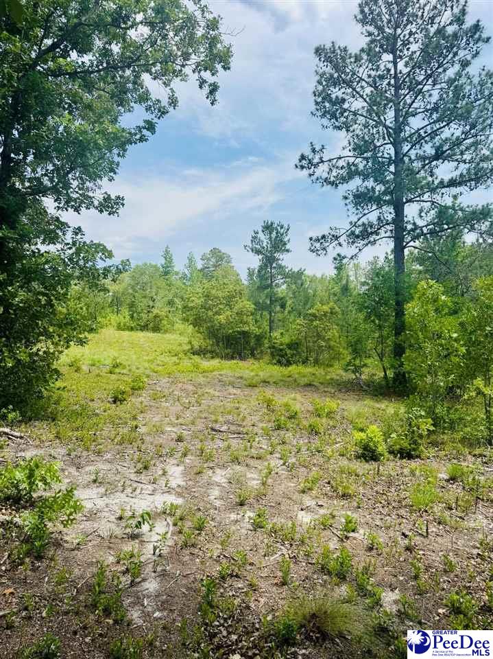 Crowley Rd