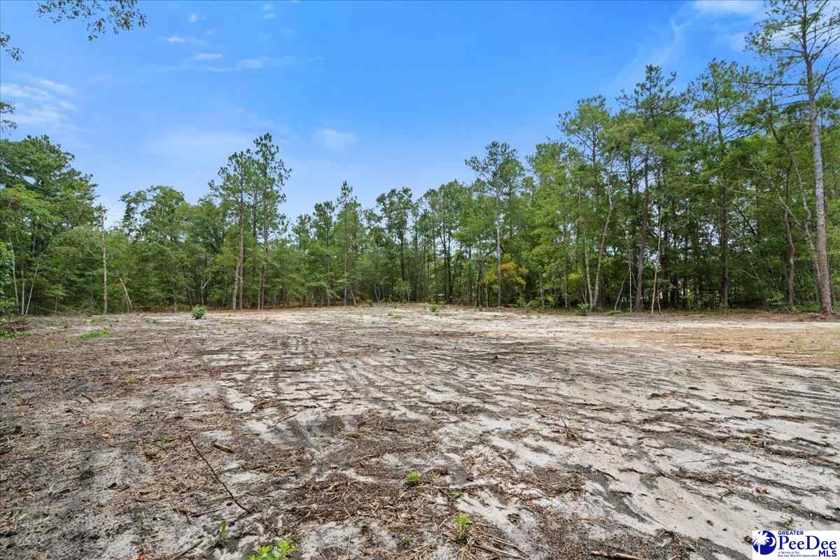 1139 Peach Orchard Rd