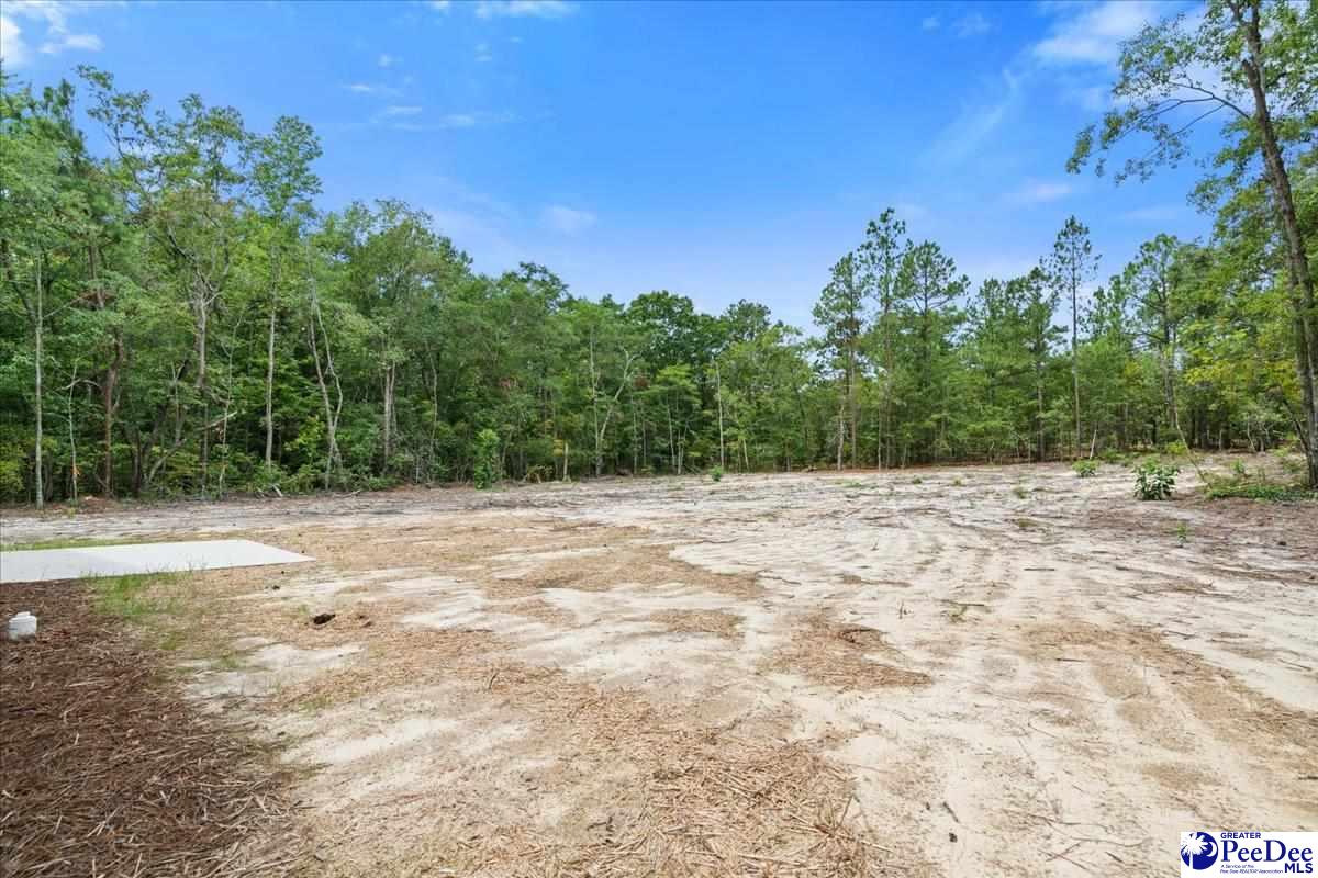 1139 Peach Orchard Rd