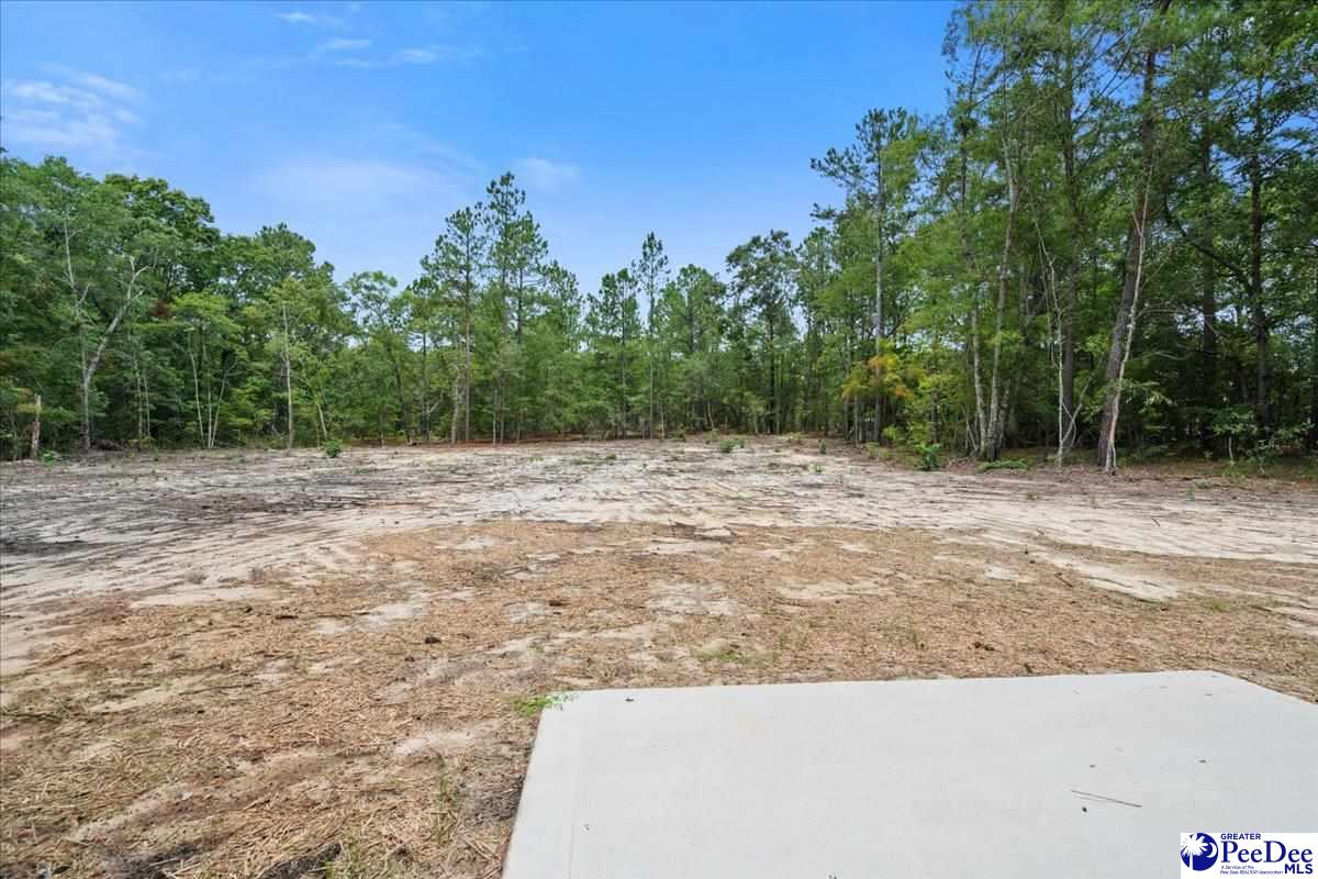 1139 Peach Orchard Rd