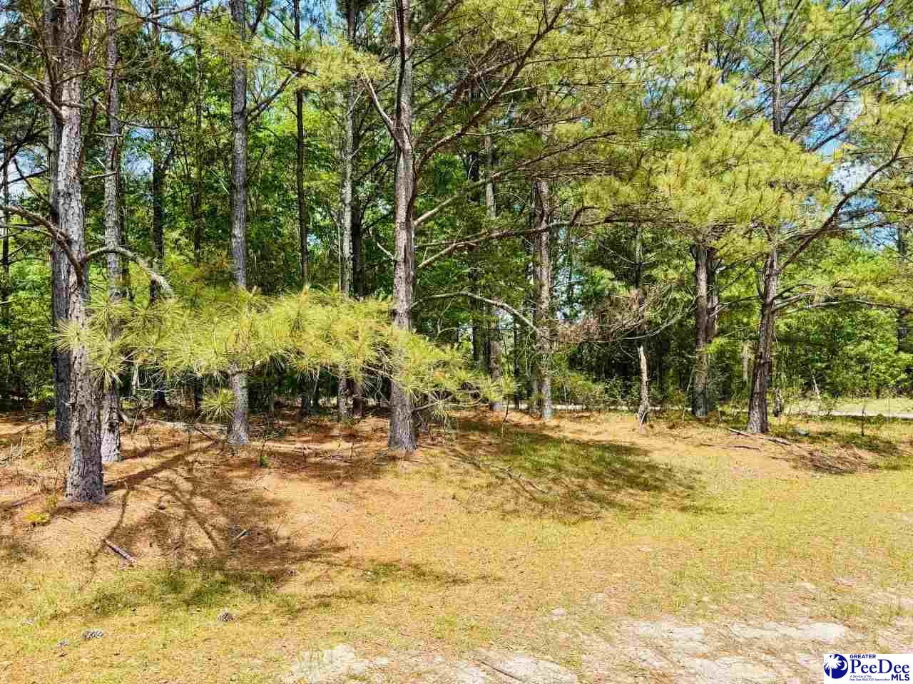 385 Elbert Baskins Rd