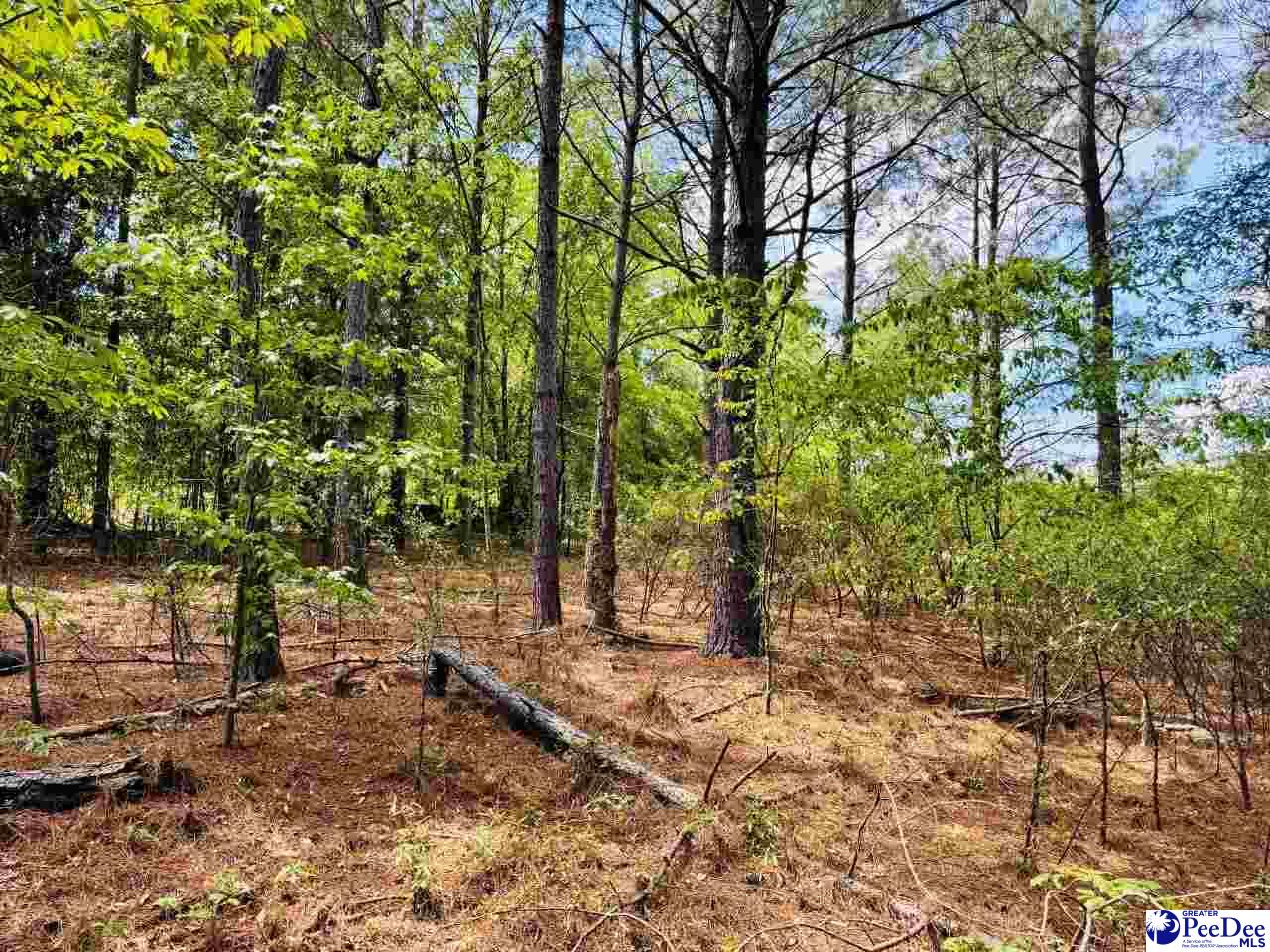 385 Elbert Baskins Rd
