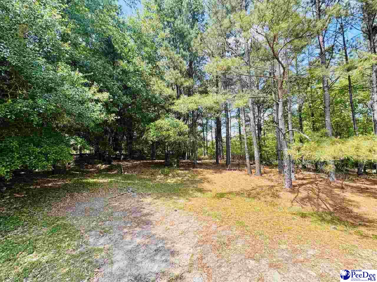 385 Elbert Baskins Rd