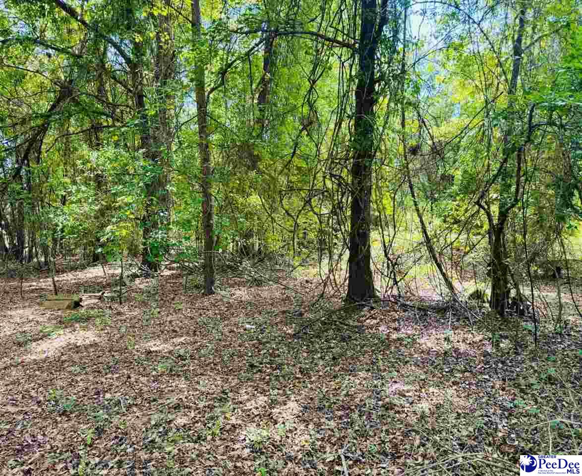 385 Elbert Baskins Rd