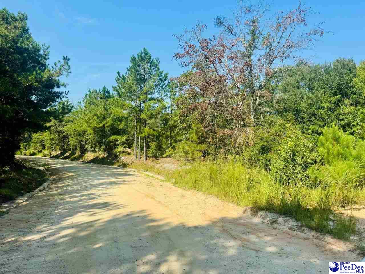 Newman Lane