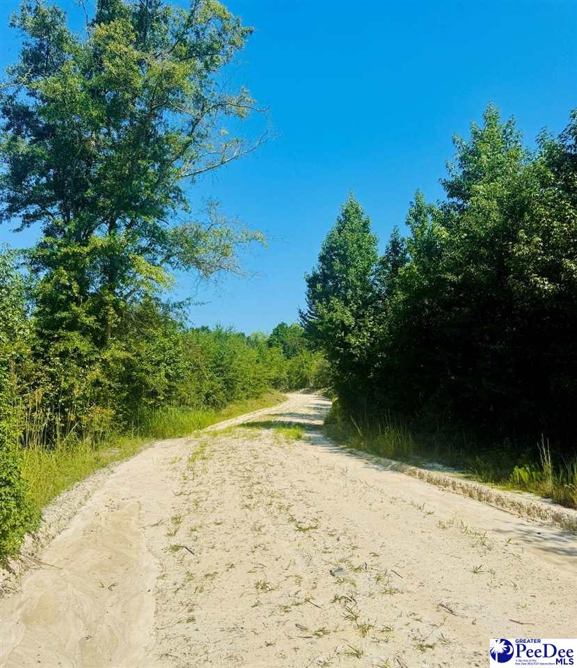 Newman Lane