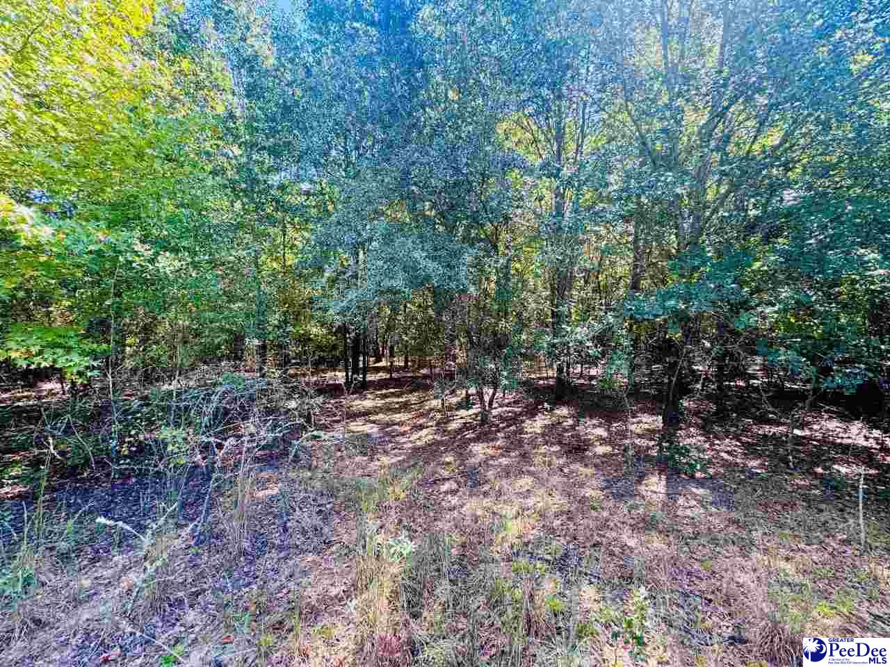 Lot 167 Brangus Lane
