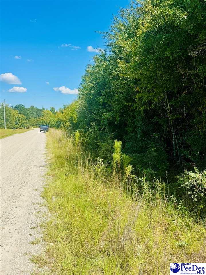 Lot 167 Brangus Lane