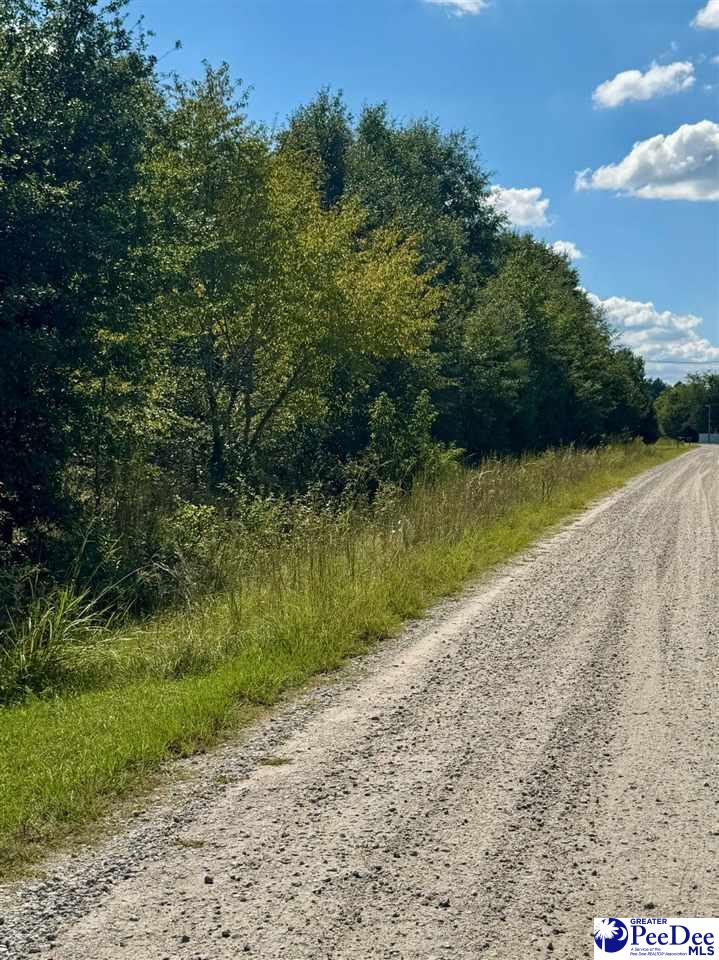 Lot 167 Brangus Lane