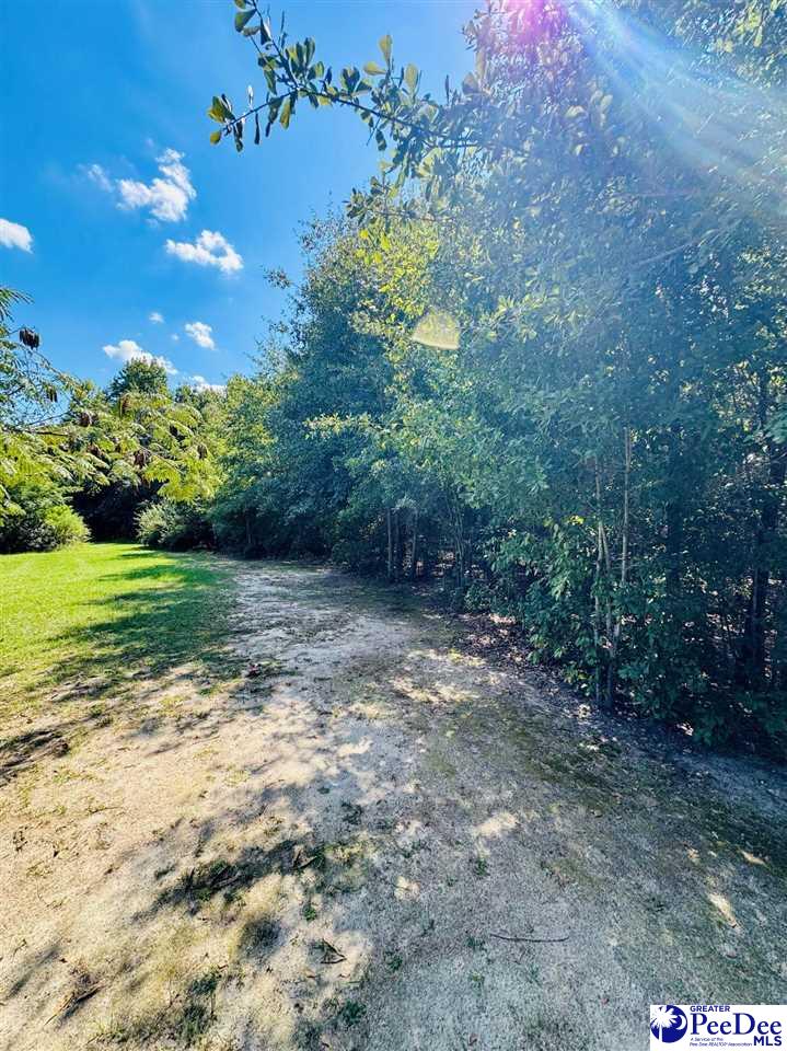 Lot 166 Brangus Lane