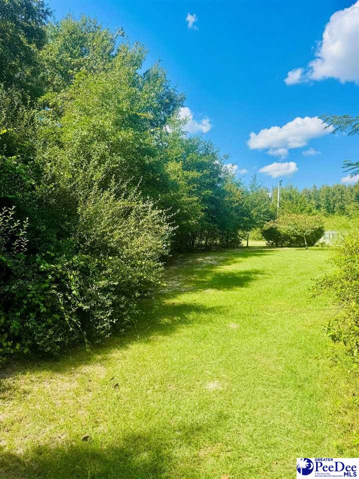 Lot 166 Brangus Lane