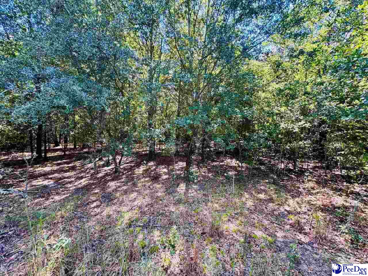 Lot 166 Brangus Lane