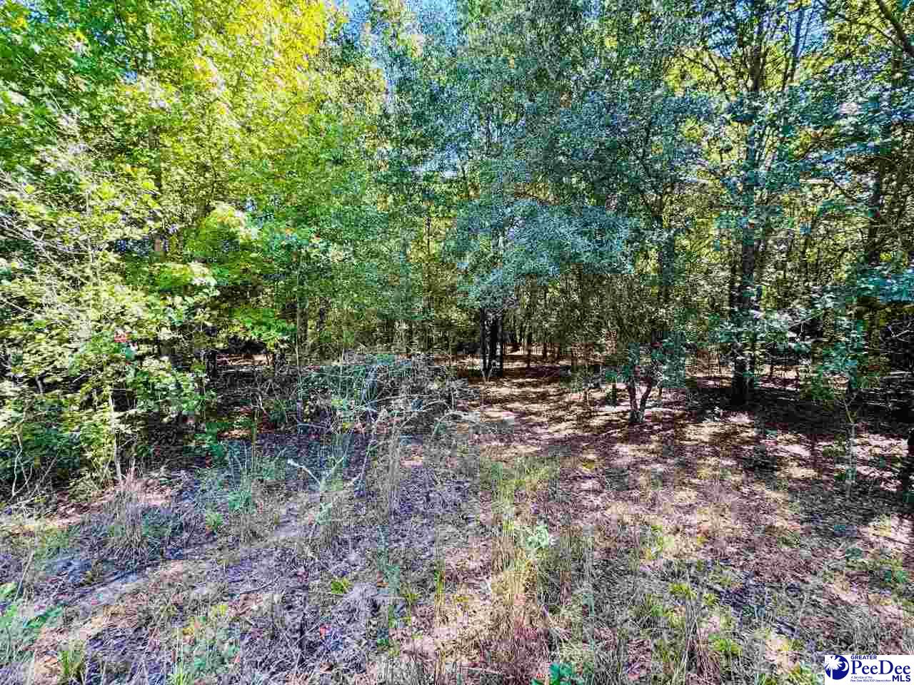 Lot 166 Brangus Lane