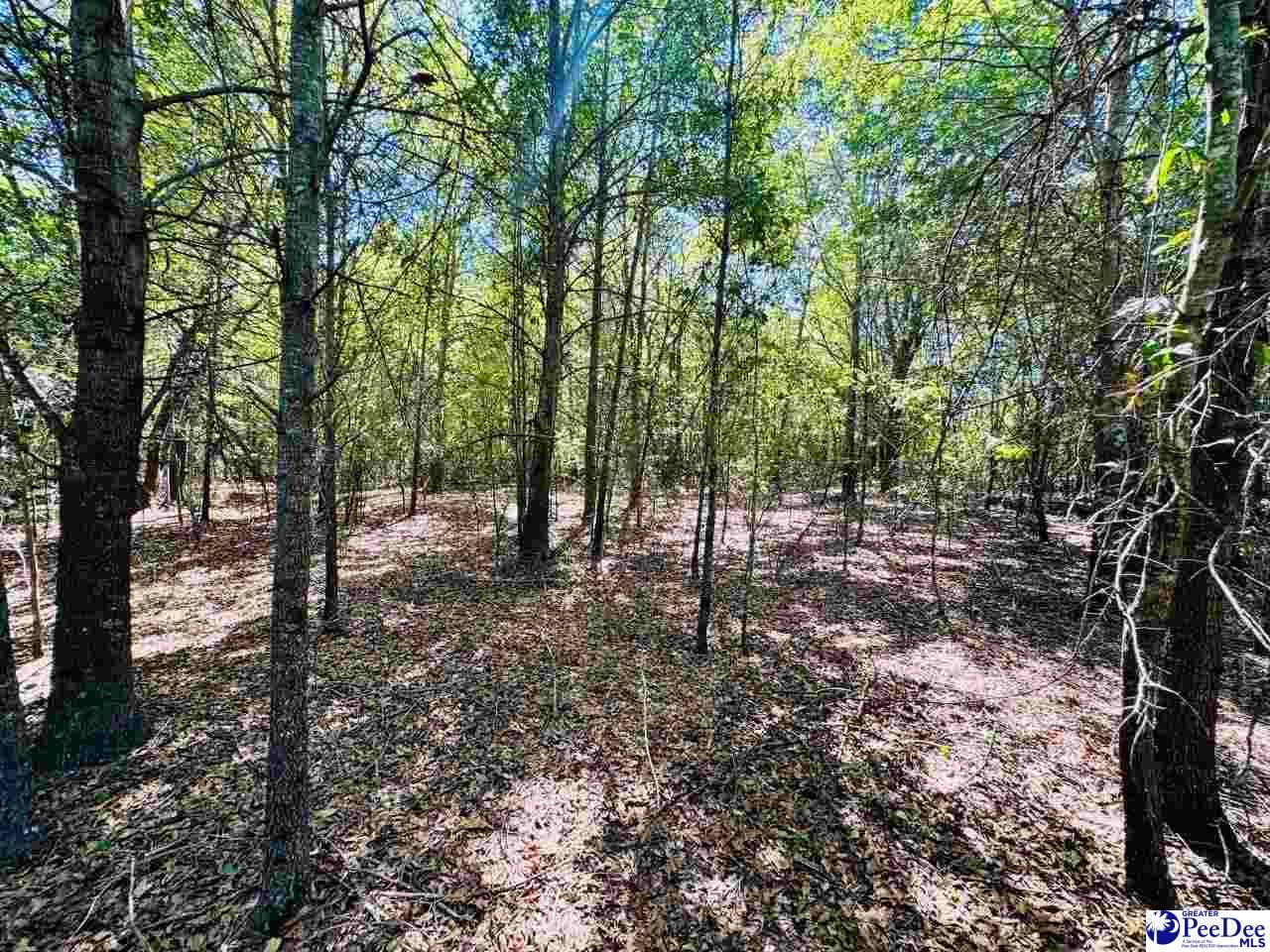 Lot 166 Brangus Lane