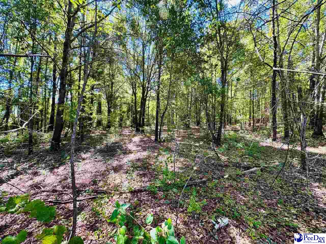 Lot 166 Brangus Lane