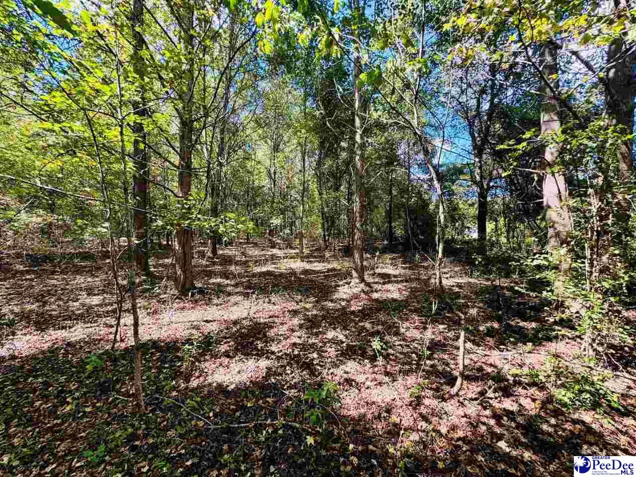 Lot 166 Brangus Lane
