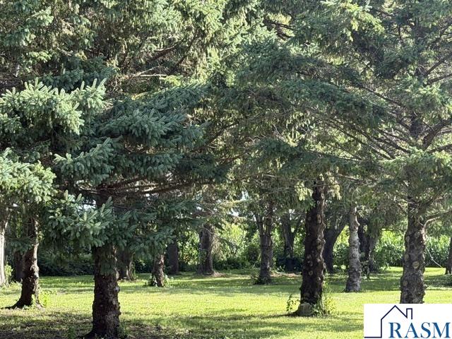 28558 80th Street, Waseca, MN 56093 Listing Photo  13