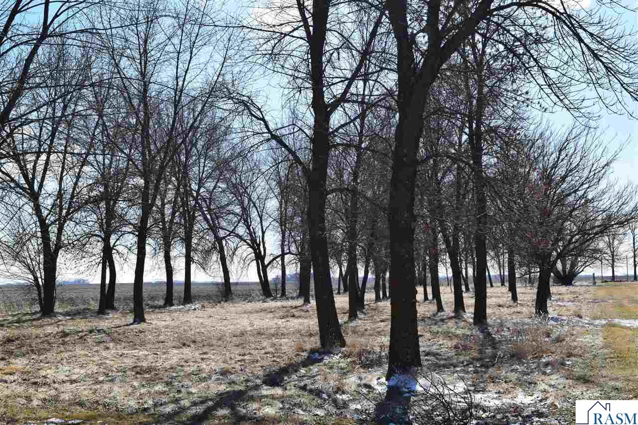 126 Higbie Ave E, Minnesota Lake, MN 56068 Listing Photo  7