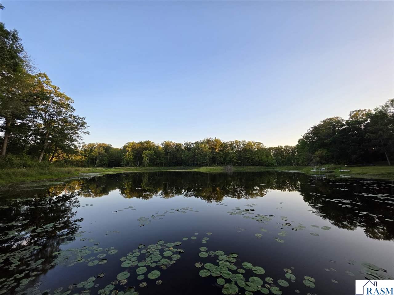 6887 Jennifer Circle, Randall, MN 56765 Listing Photo  31