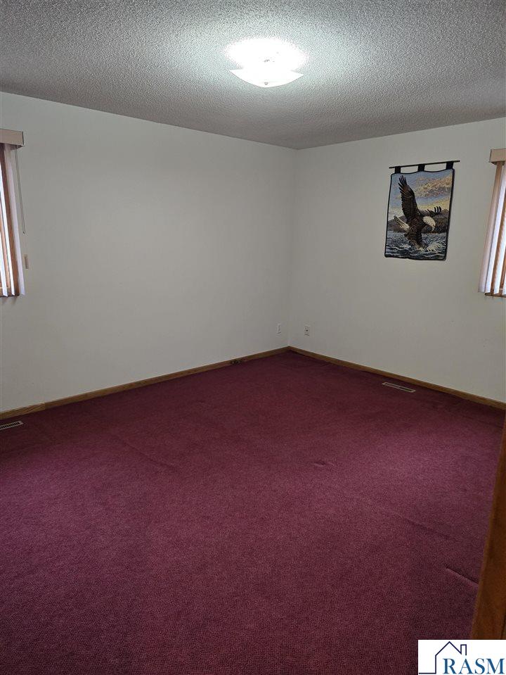 308 Renville Street, Winthrop, MN 55396 Listing Photo  14