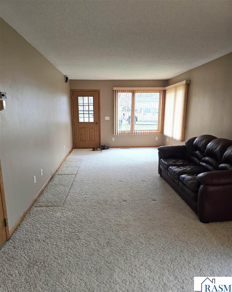 308 Renville Street, Winthrop, MN 55396 Listing Photo  4