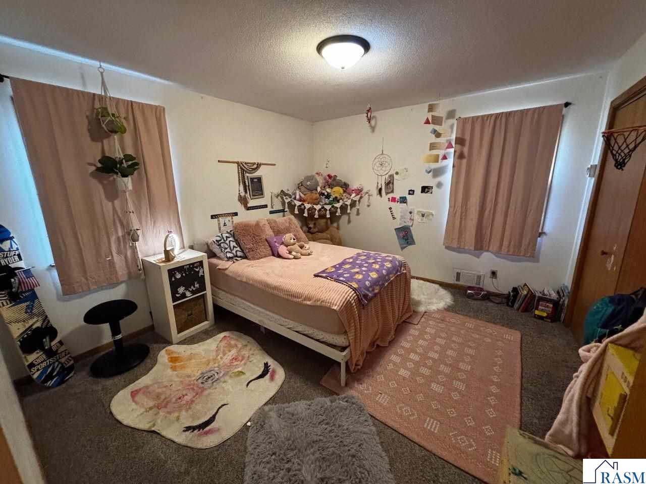 312 W Jefferson Avenue, St. Peter, MN 56082 Listing Photo  20