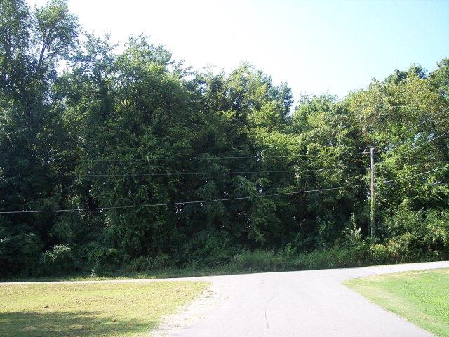 0 1st Ave, Muscle Shoals, AL 35661 — photo 1