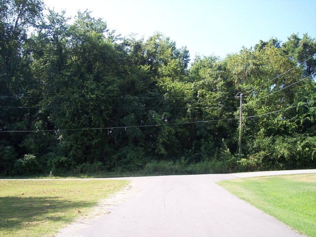 0 1st Ave, Muscle Shoals, AL 35661 — photo 3