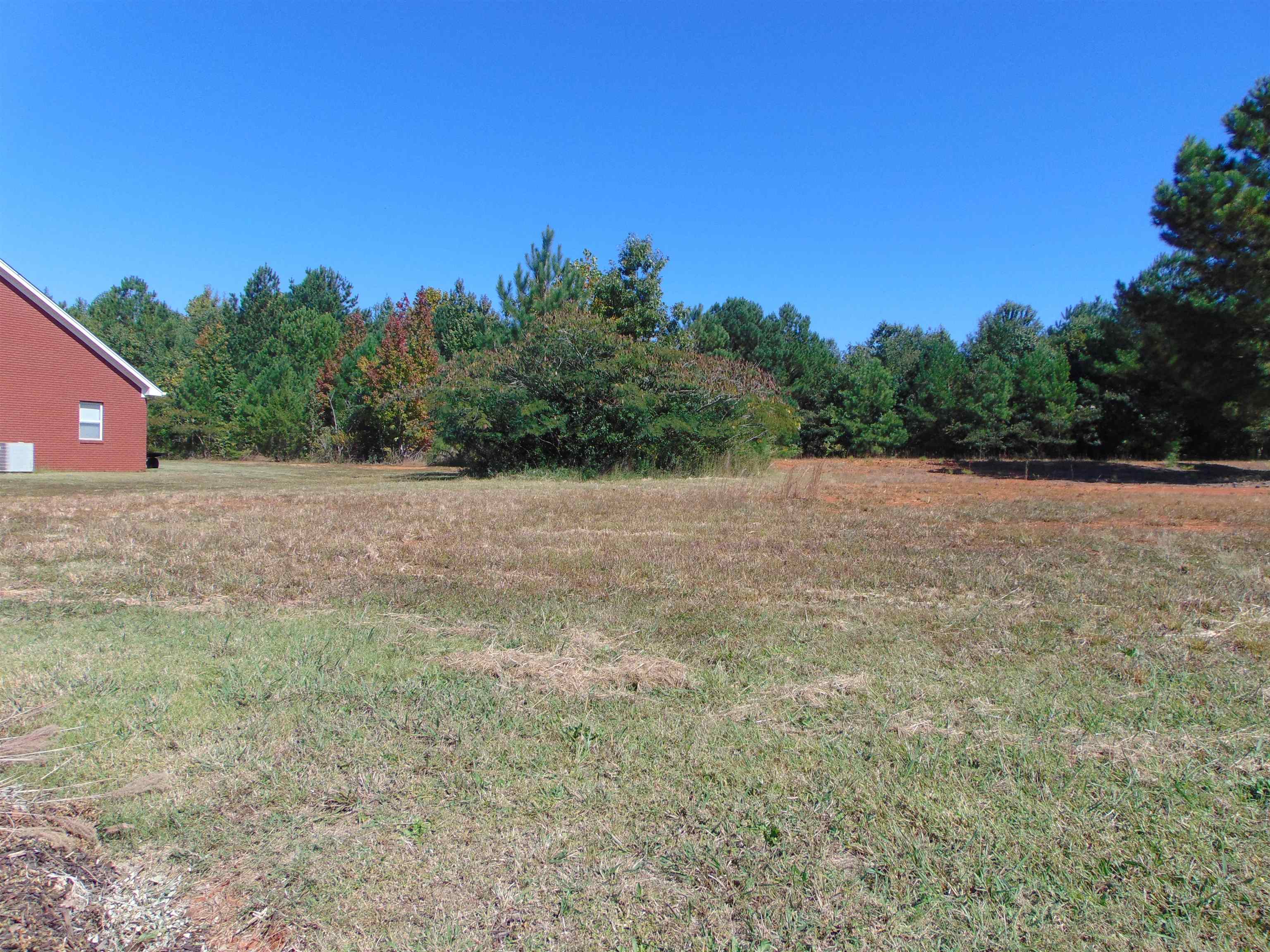20 Riverview Dr, Sheffield, AL 35660 — photo 11