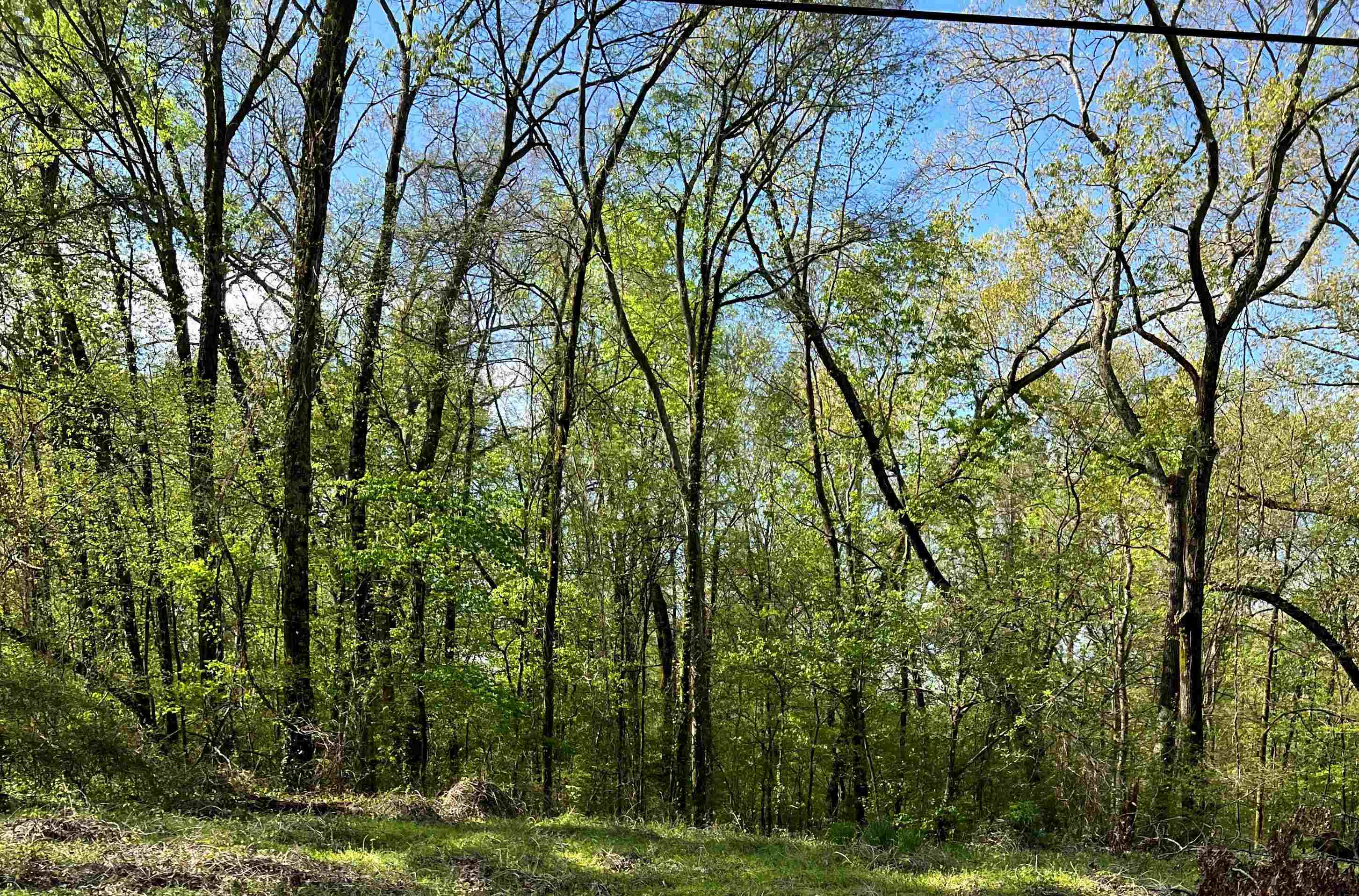 00 Kilcoole St, Muscle Shoals, AL 35661 — photo 1