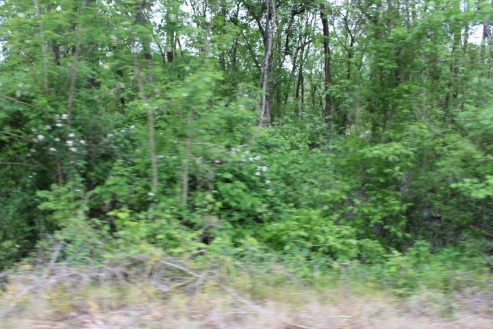 00 S Lakeview Dr, Russellville, AL 35654 — photo 10