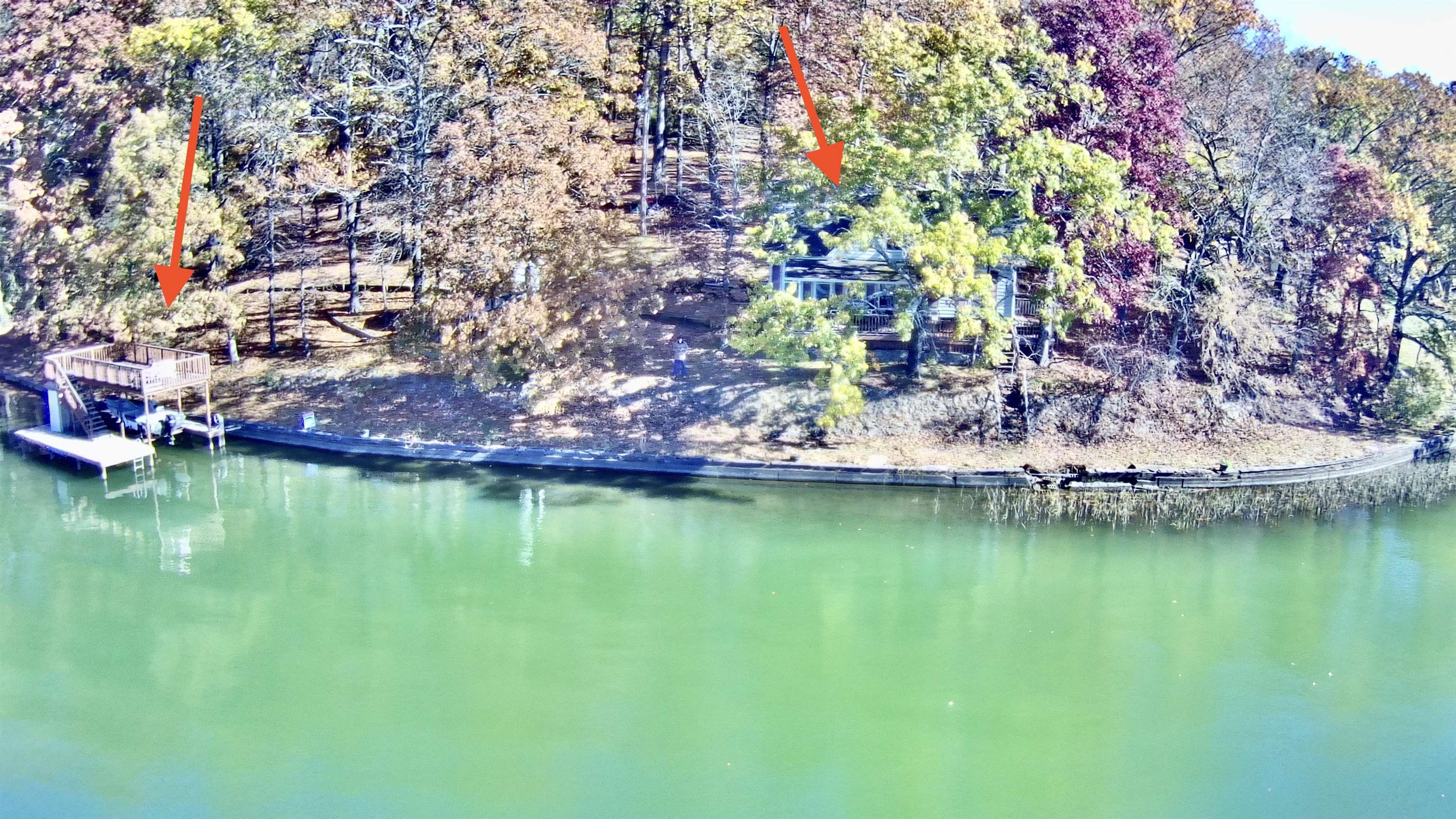 51 Limerick Ct, Muscle Shoals, AL 35661 — photo 1
