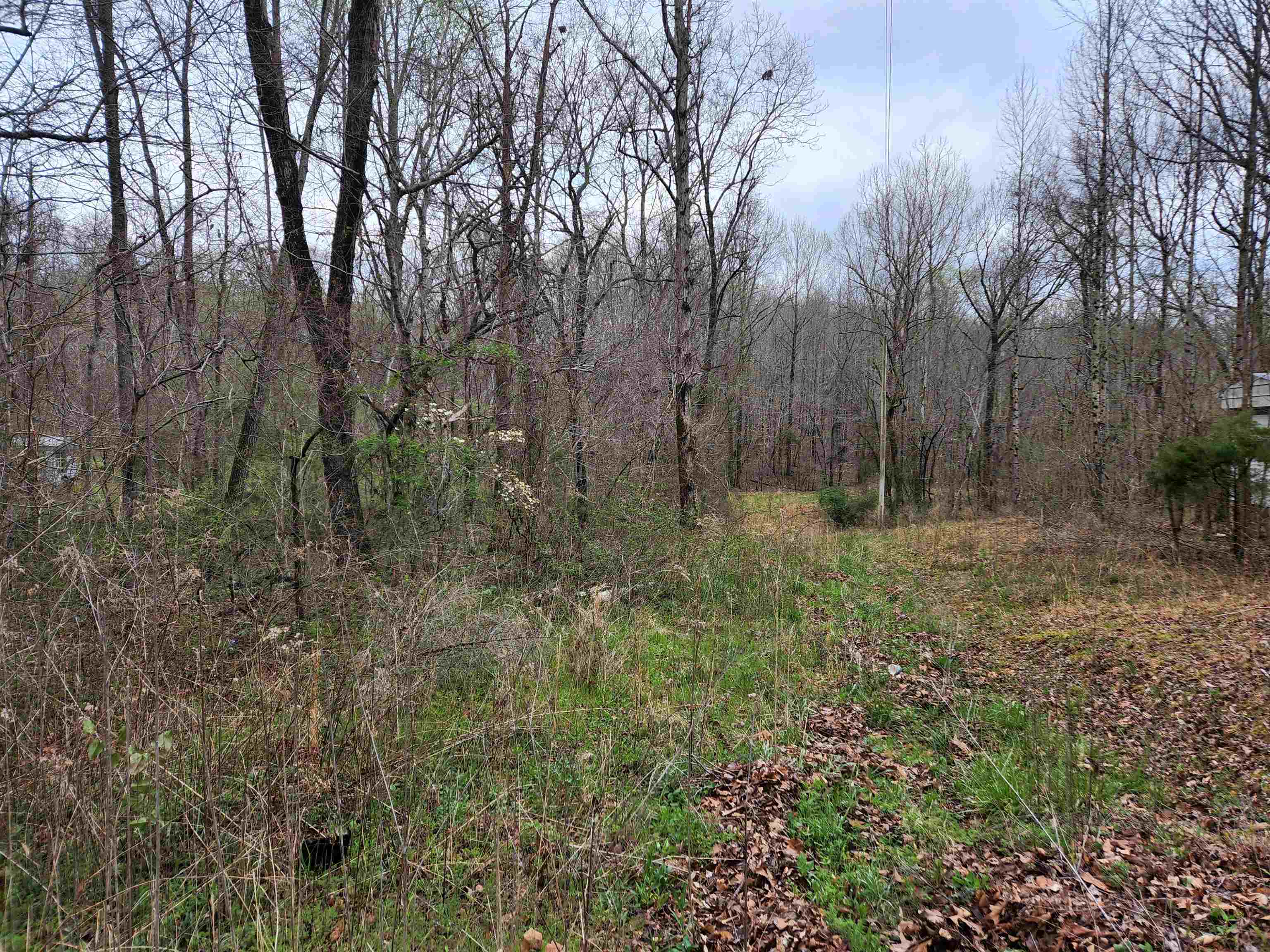 9310 Co Rd 61, Florence, AL 35634 — photo 2