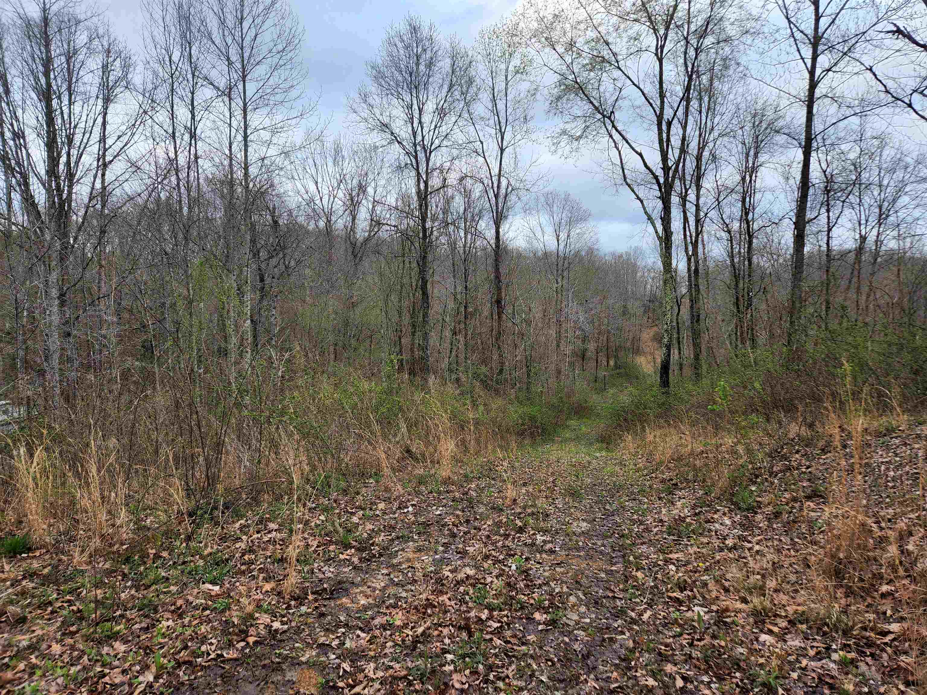 9310 Co Rd 61, Florence, AL 35634 — photo 4