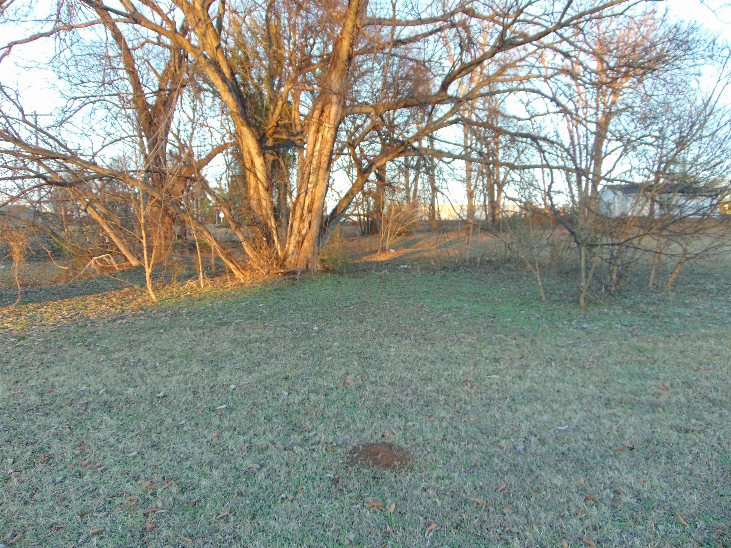 118 Church St, Decatur, AL 35601 — photo 12
