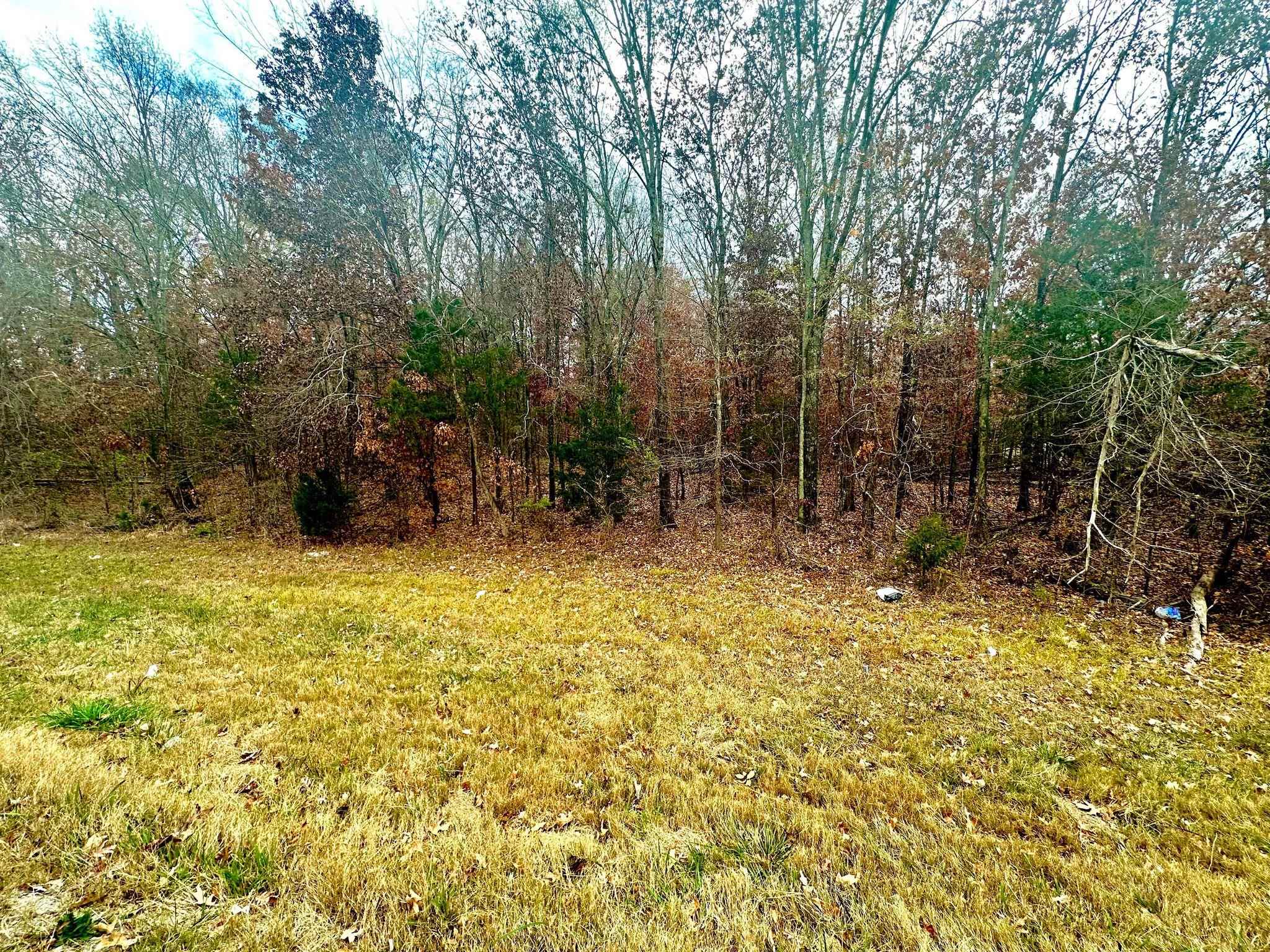 0 Highway 157, Leighton, AL 35646 — photo 2