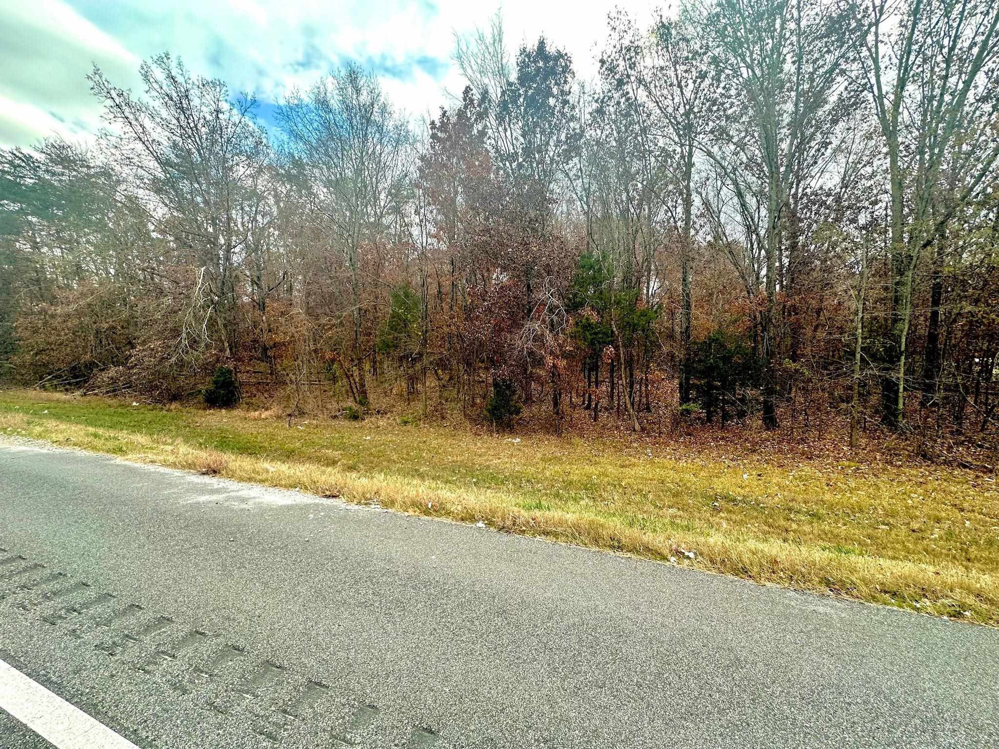 0 Highway 157, Leighton, AL 35646 — photo 3